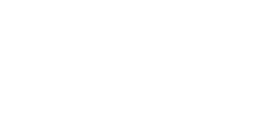 Maxx Protege